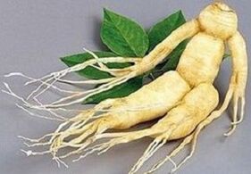 Radice di ginseng per fare un infuso